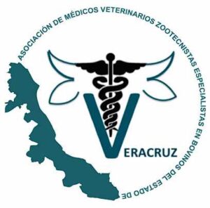 MVZ Bovinos Veracruz